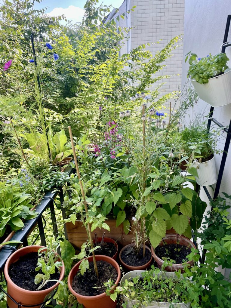 Gesamtblick auf viele Pflanzen auf vielen Ebenen mit pinken und blauen Blüten im Sommer