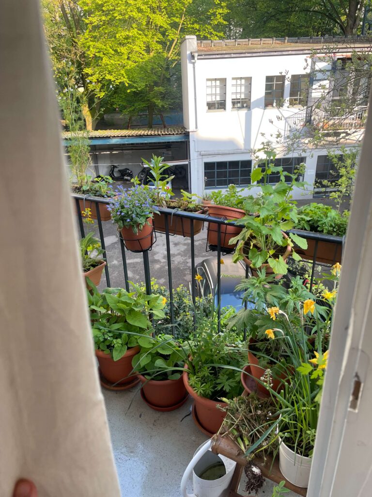 Balkonsicht im FrĂŒhling auf viele grĂŒne BlĂ€tter und Narzissen