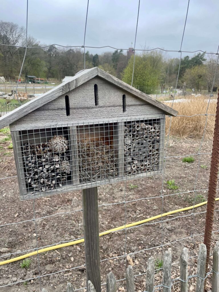 Eine unzulängliche Wildbienennisthilfe in Stockholm