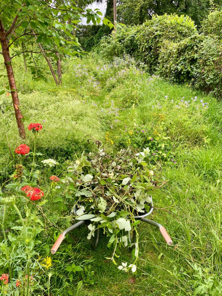 Schubkarre mit Schnittgut auf einer Wildblumenwiese