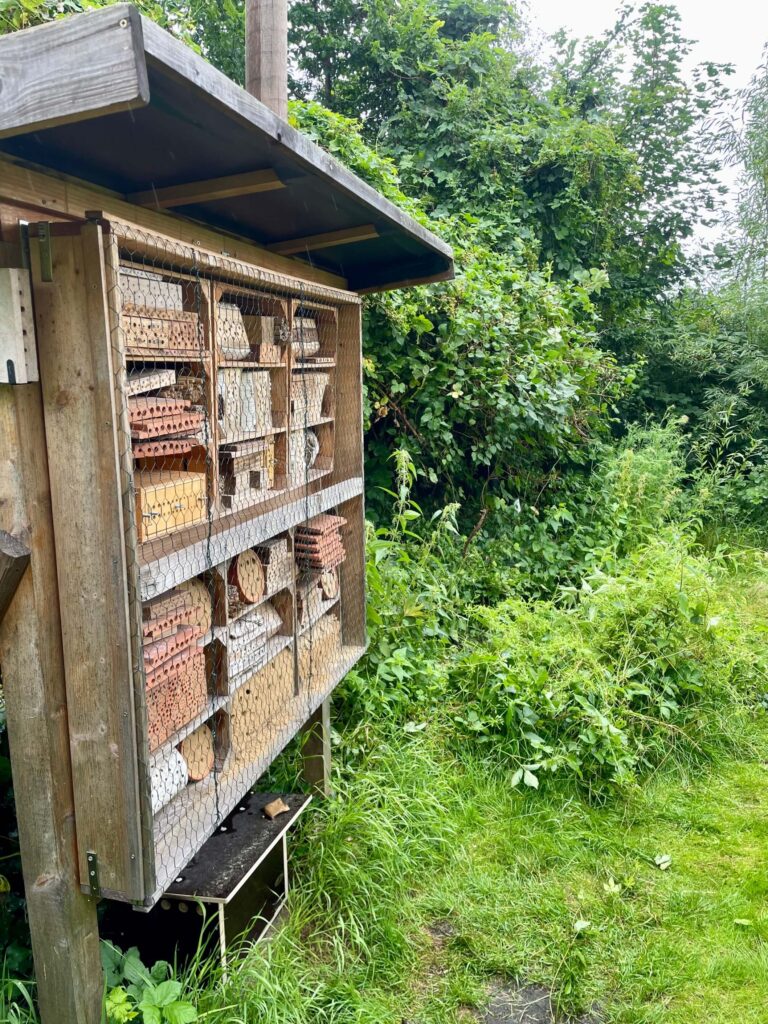Große Wildbienennisthilfe auf einer Wiese