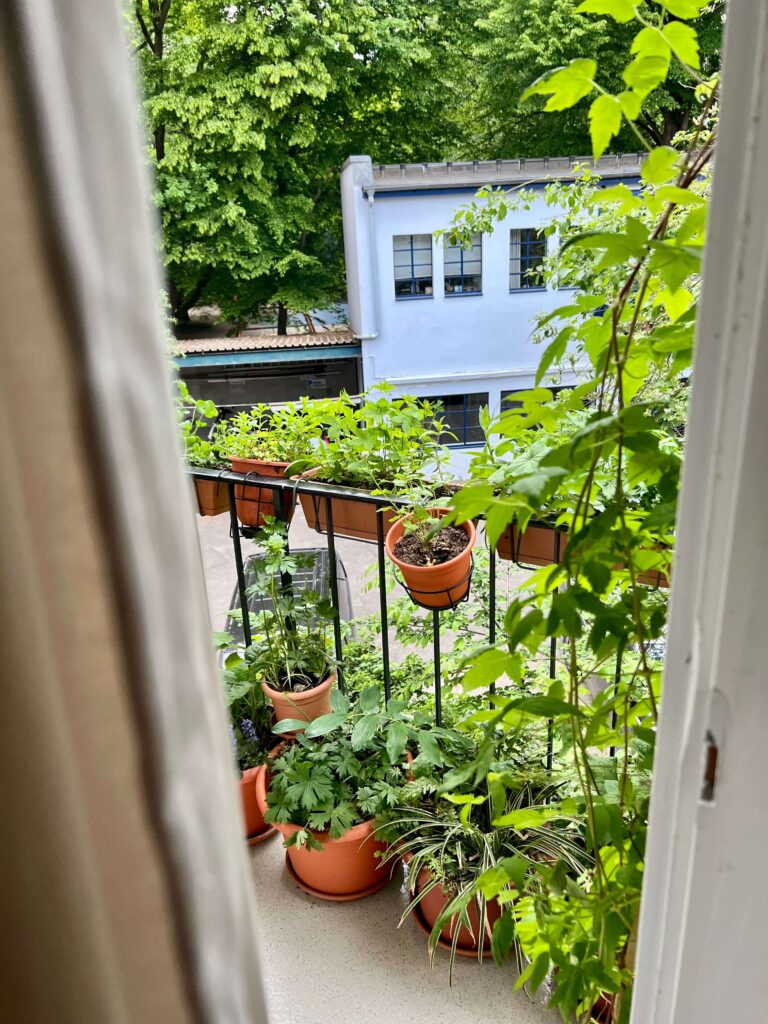 Blick aus Balkontür auf viel Grün