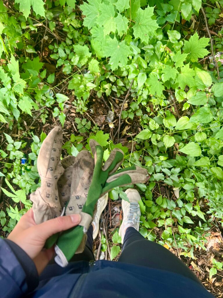 Mit Handschuhen im wilden Grün