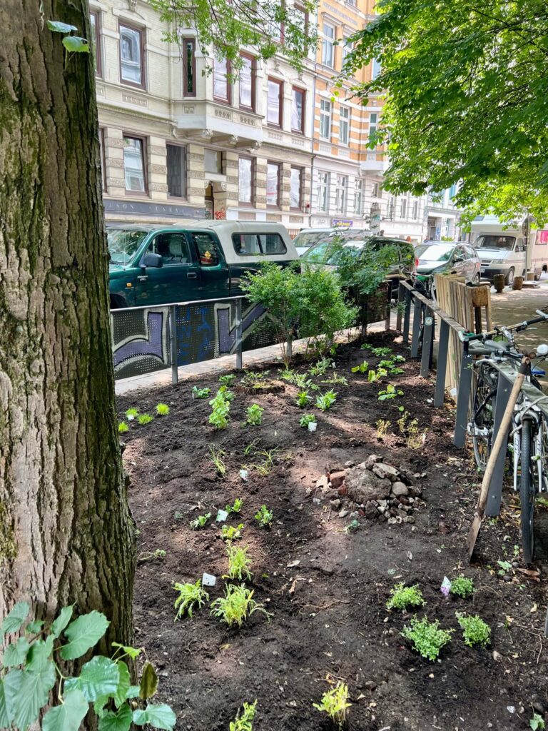 Grünpatenschaft mit Stauden