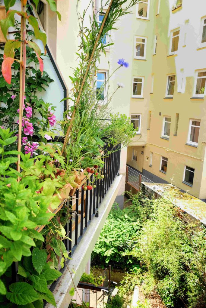 Balkongeländer Nordbalkon