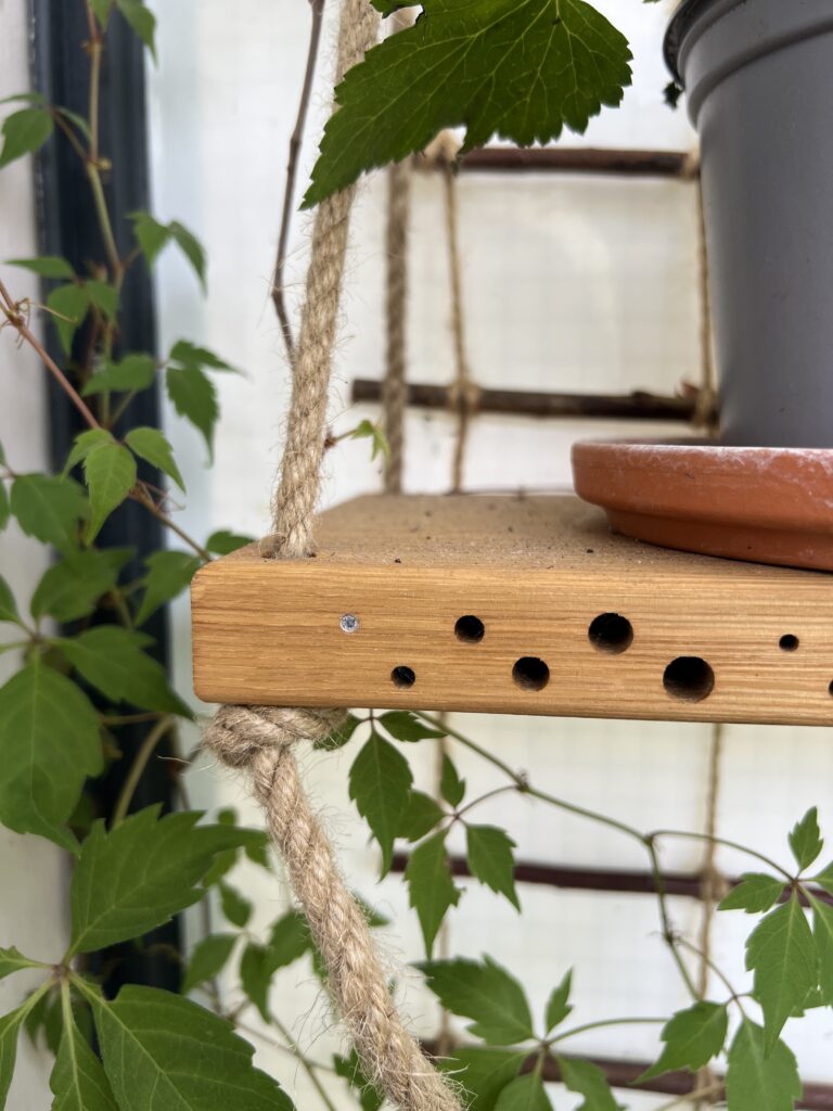 Maskenbienen-Loch in Wildbienen-Nisthilfe