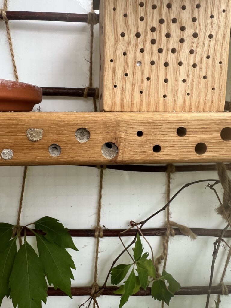Bezogene Löcher in der Wildbienen-Nisthilfe