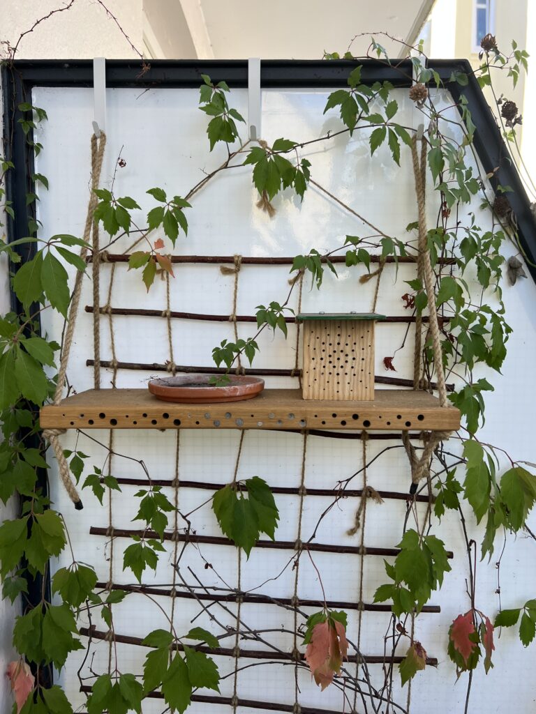 Wildbienen-Nisthilfen im Sommer