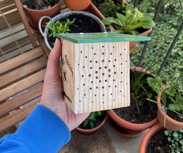Wildbienen-Nisthilfe auf dem Nordbalkon â klappt das wirklich?
