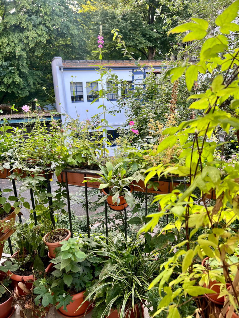 Blühender Nordbalkon im Sommer