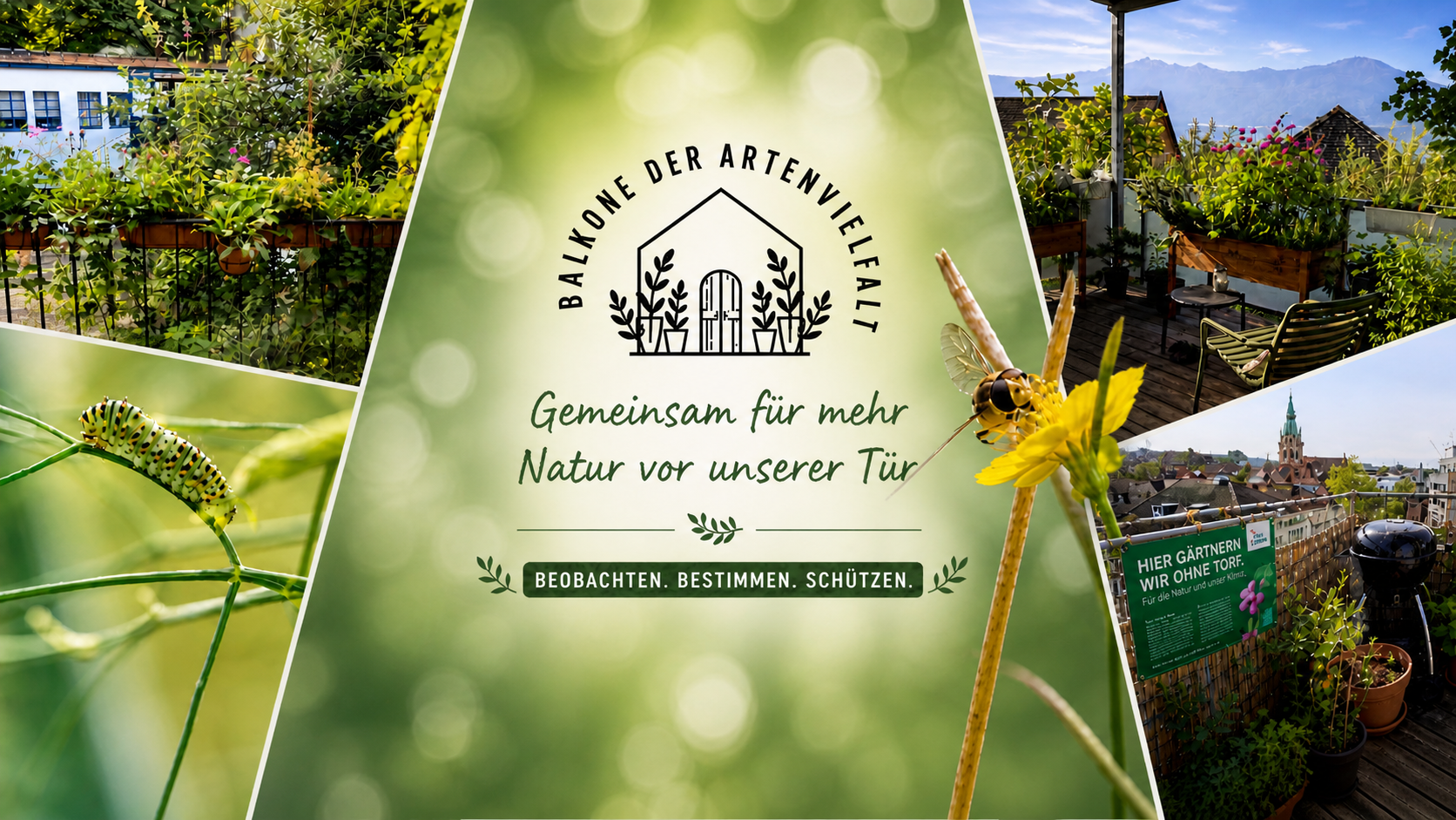 Balkone der Artenvielfalt – was dein Balkon für die Natur tun kann
