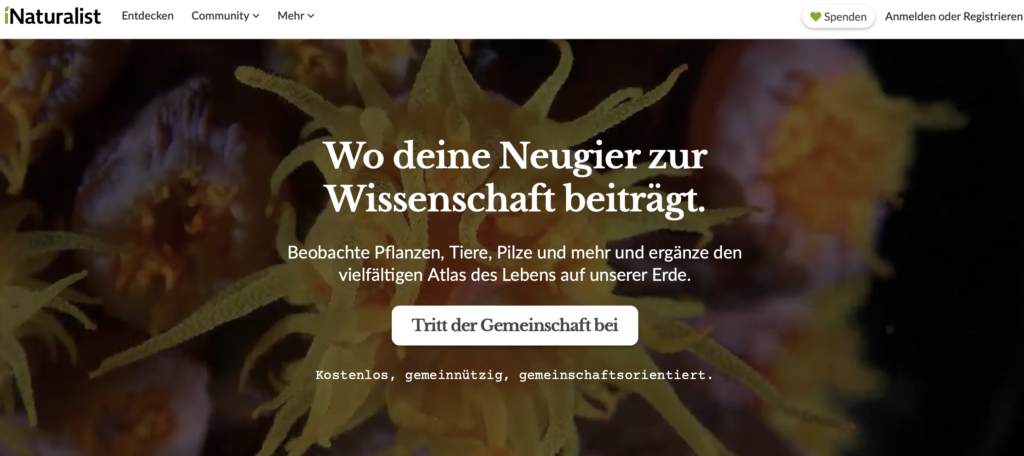 Screenshot der iNaturalist-Startseite