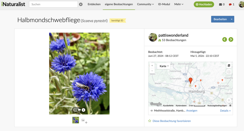 Screenshot einer Beobachtung auf iNaturalist