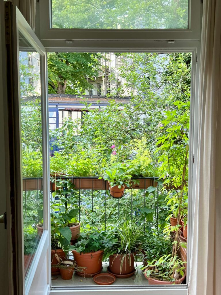 Sicht auf Nordbalkon aus der Balkontür